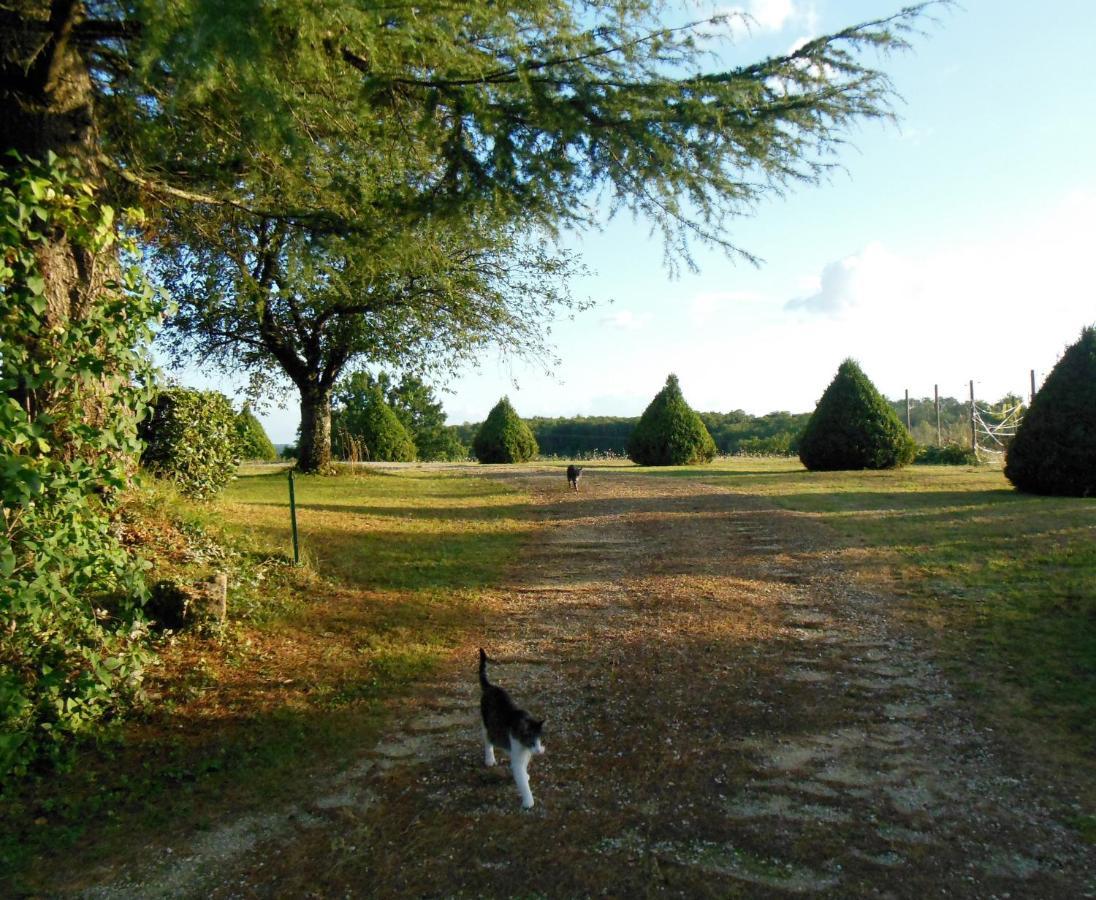 Hauts De Sentelines Sejour Authentique En Pleine Nature Gavaudun Exterior photo